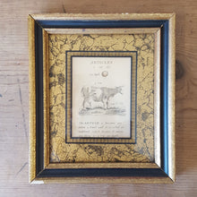 Load image into Gallery viewer, Vintage Cow Print
