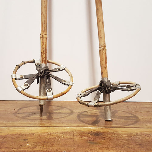 10th army division ski poles