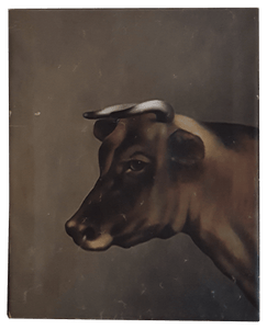 Primitive Cow Portrait