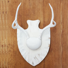 White Washed Mounted Antlers